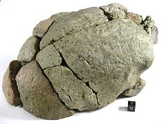NWA 6704 meteortie - Reassembled mass (27cm x 16cm x 14cm).