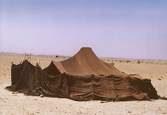 Traditional Berber tent in the Sahara.