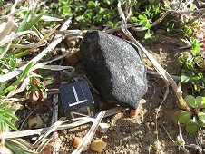 Ash Creek Expedition - Greg's 17.4 gram find.