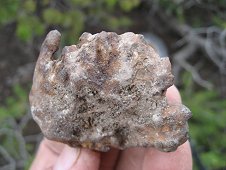 Glorieta Expeditions - 110.6 gram pallasite. View 2