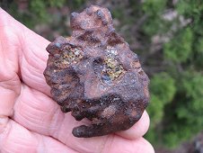 Glorieta Expeditions - 110.6 gram pallasite, looks like a face!