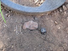 Glorieta Expeditions - Greg finds his second Glorieta meteorite in May 2008, it weighs 21.3 grams.