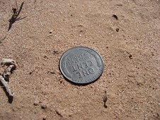Holbrook Expeditions - 1942 Wheatback penny as found...