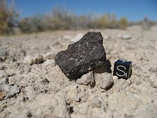 Nevada Expeditions - 24.6 grams, Found October 13, 2010. In situ