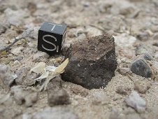 Nevada Expeditions - 20.2 gram meteorite in situ.