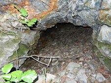 Sutter's Mill Expedition - One of hunderds of abandoned gold mine shafts.