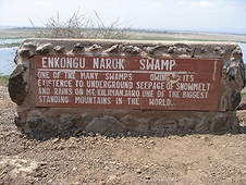 Thika, Kenya Expedition - Enkongu Narok Swamp - Mordern day Jurassic Park.