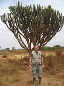 Thika, Kenya Expedition - Greg at a rather large cactus tree.