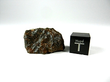 Camel Donga Eucrite Meteorite