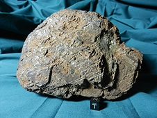 Muonionalusta IVA Iron Meteorite