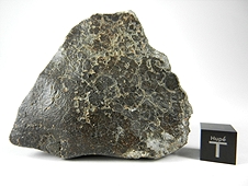 NWA 2696 Howardite Meteorite