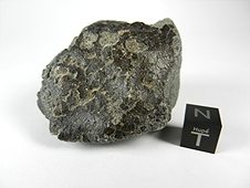 NWA 2696 Howardite Meteorite