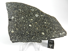 NWA 2798 L3.2 Chondrite Meteorite