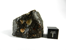 NWA 2798 L3.2 Chondrite Meteorite