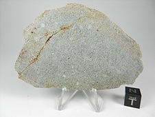 NWA 2828 Enstatite (EL3-6) Meteorite