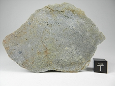 NWA 2828 Enstatite (EL3-6) Meteorite