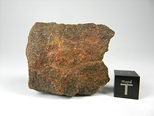 NWA 2835 Metachondrite (H7) Meteorite