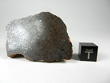 NWA 3133 Metachondrite (CV) Meteorite