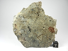 NWA 3149 Howardite Meteorite