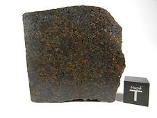 NWA 3151 Brachinite Meteorite