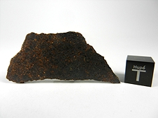NWA 3151 Brachinite Meteorite