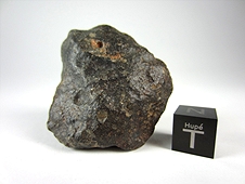 NWA 3161 LL3.7 Chondrite Meteorite