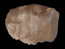 NWA 3163 Lunar  Feldspathic Granulitic Impactite Meteorite