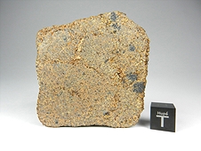NWA 4587 Ungrouped Achondrite Meteorite