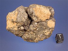 NWA 4801 Angrite Meteorite