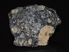 NWA 5000 Lunar Highlands Gabbro Meteorite