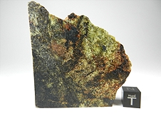 NWA 5480 Olivine Diogenite Meteorite