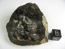 NWA 6707 Polymict Eucrite Meteorite