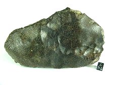 NWA 6718 Rumurutiite (R4) Meteorite