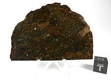 NWA 6718 Rumurutiite (R4) Meteorite