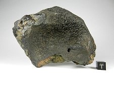NWA 7266 Shocked Eucrite Meteorite