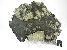 NWA 7266 Shocked Eucrite Meteorite
