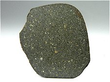 NWA 7271 CO3.5 Cabonaceous Chondrite Meteorite