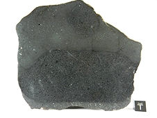 NWA 7319 L5 Melt Breccia Meteorite