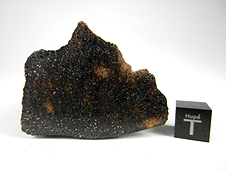 NWA 7474 Lodranite Meteorite
