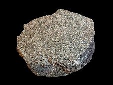 NWA 998 Martian Nakhlite Meteorite