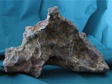Taza (NWA 859) Plessitic Octahedrite Iron Meteorite